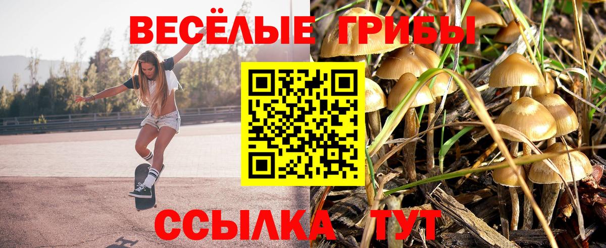 купить  сайты  Вход с VPN  Мыски  Псилоцибиновые грибы Psilocybine cubensis 