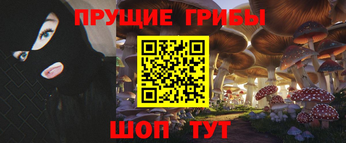 Галлюциногенные грибы MAGIC MUSHROOMS Мыски