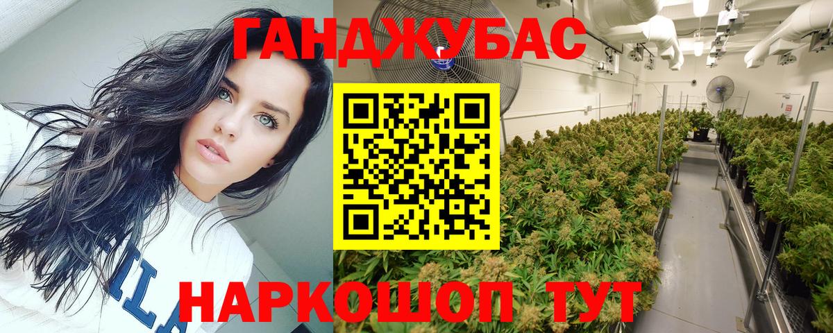Мыски  Бошки Шишки Amnesia  Вход с VPN  Бошки марихуана план  Шишки марихуана ГИДРОПОН 